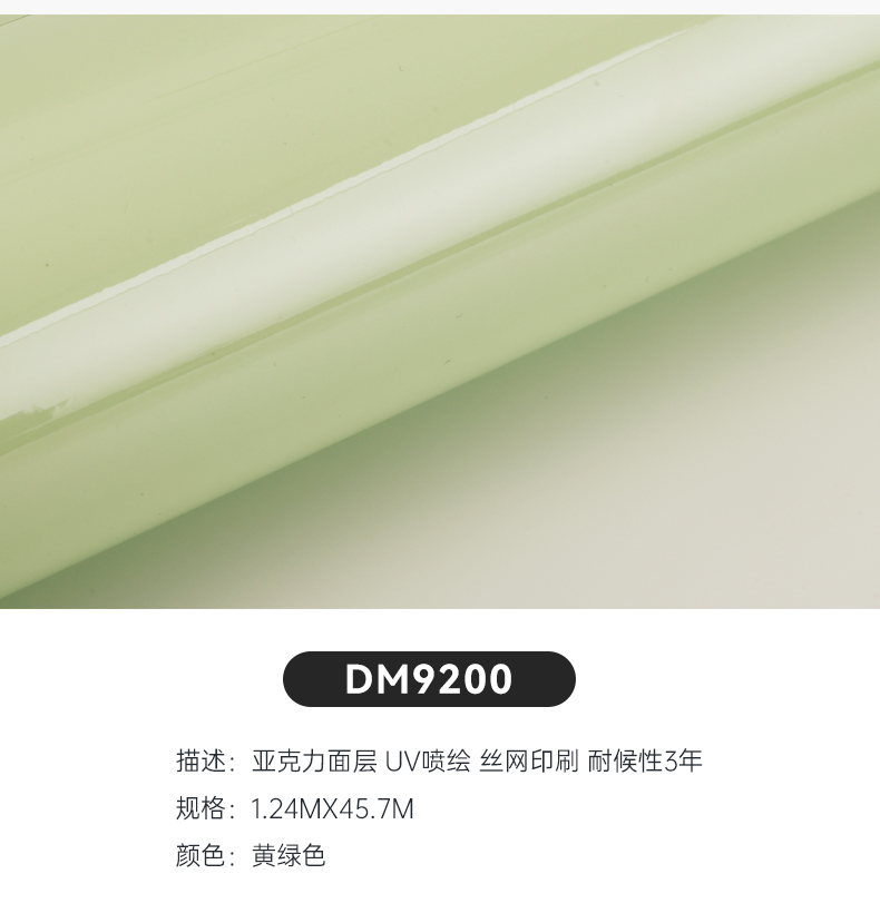 DM9200_04